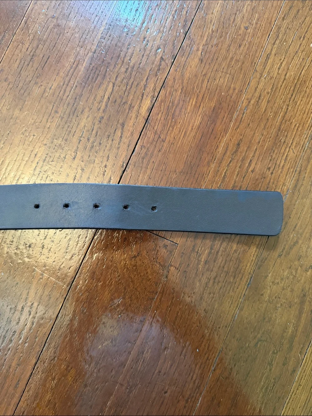 Boys Southern Tide Brown Leather Belt with Fish Embossing Size 28